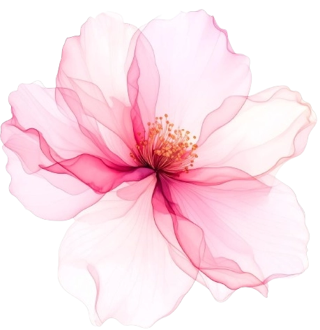 Amour - Photo 2 - WV 26062