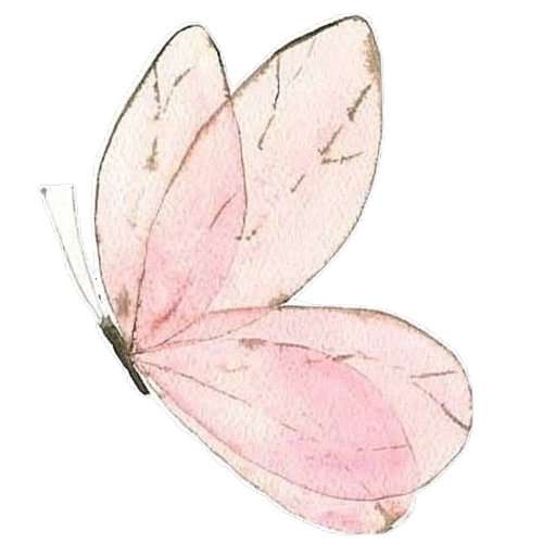 Amour - Photo 5f - WV 26062